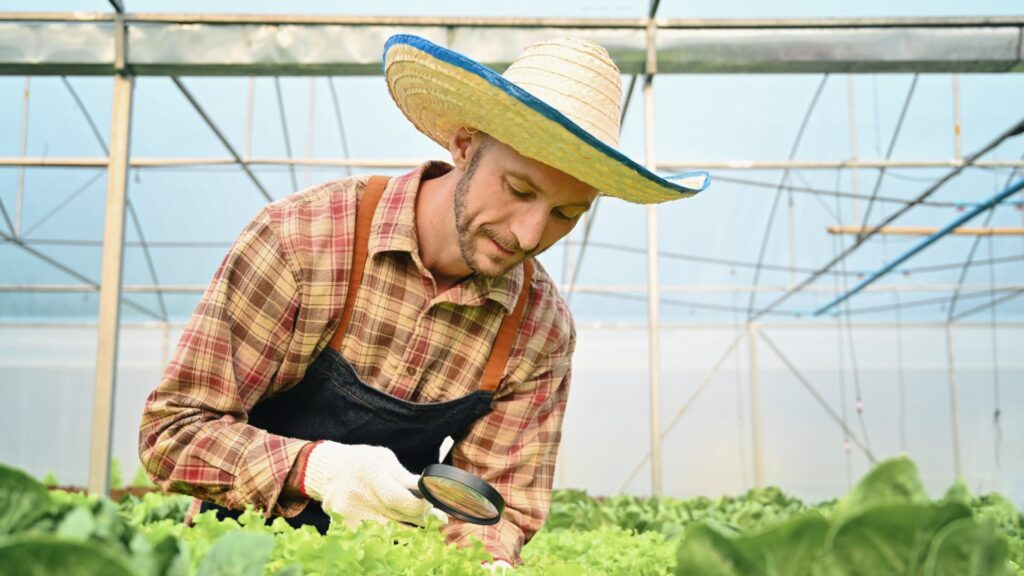 farmer-examining-the-quality-in-hydroponic-greenhouse--e1698040280156.jpg